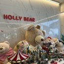할리베어(HOLLY BEAR)