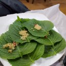 우리집 삼식이무침 이미지