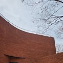 광주068 | 남한산성 카페 스코그 대형 트리 맛집 주차 메뉴 경기도 광주 아기랑