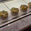 205 이미지
