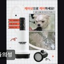 개들의성 네이버블로그