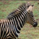 손뜨개 취미 이미지