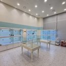 부산진구-16 이미지