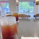 어몽독스 이미지