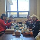 1월8일(목)용뫼산 트레킹 이미지
