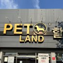 원미구 도약로 239 이미지