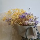 들꽃셀프세차장 | 광산구 수완지구 꽃집, 리하씨의 리하꽃집에서 가을 꽃다발과 화분 재난지원금 사용하기.