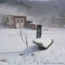 숲속맑은꼴 이미지