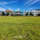 국립산림과학원
산림바이오소재연구소 | 국립산림과학원, 친환경 ‘학교 운동장 국산 잔디’ 개발