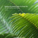 오늘의 '영어 명언'(188강) 소크라테스(Socrates) 이미지