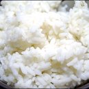 보성김밥 이미지