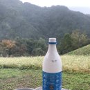 [삼척/하늘솔황토민박] 강원도 촌캉스 에어비앤비 감성숙소 후기