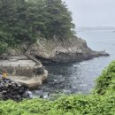 소남머리 이미지