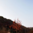 향동초등학교 이미지