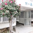 사상중흥스마트부동산중개 이미지