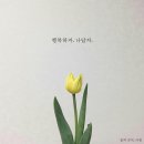 우도나인