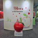 사과테마파크사과관 네이버블로그