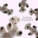 댕글댕글유치원 이미지