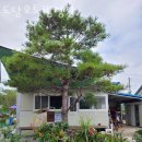 도담펜션 이미지