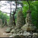 金두꺼비 이미지