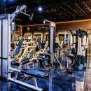 피그말리온짐 프리미엄 이미지