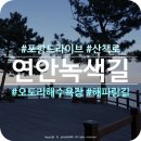 동해안연안녹색길 | 포항 가볼만한 곳 : 해파랑길 18코스 동해안 연안녹색길 바다 산책로 (포항드라이브, 포항여행)