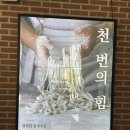 세종 조치원 칼국수 맛집 천번 치댄 면, 볶음밥과 후식까지 푸짐하게 - 장원갑 칼국수 세종본점