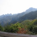 불바라기팬션 이미지