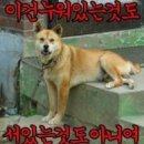 조은산 "집값이 오른 들 어떠하리 文향한 일편단심…감격한 판서들 쓰러져"(상소문 4. 뉴노멀) 이미지