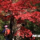 연화산 유아숲체험원 이미지