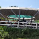 울산EDA승마장 이미지