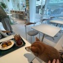 부흥로351번길 이미지