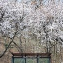 은혜푸드(주) - 39974 | 은혜푸드(주)