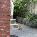 장호선 피부과의원 이미지