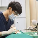 올림픽치과 네이버블로그