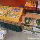 신선청과야채 이미지