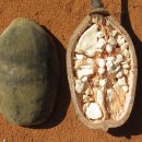 바오바브(baobab)