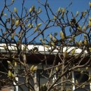 신제주초등학교 이미지