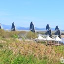 보교