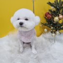 얼렁오시개 이미지