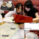 영토스트 이미지