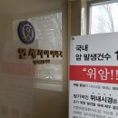 직장인 내시경 검사 후기 _ 청담 연세지아이내과