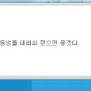 메이플투어 이미지