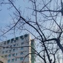 의료법인 재원의료재단 이미지