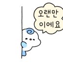 우리명품한우 이미지