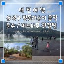 2024년 방동 윤슬거리 음악분수 이미지