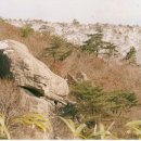 화실숲