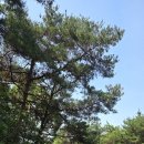 전남 나주시 나주호 둘레길로 이미지