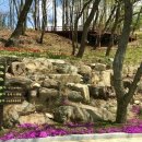 고대산자연휴양림 이미지