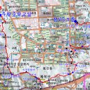 장성황룡강노란꽃잔치 축제장2 이미지